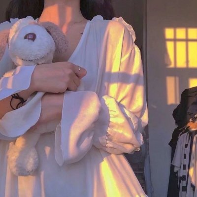 蒂科与鲨鱼