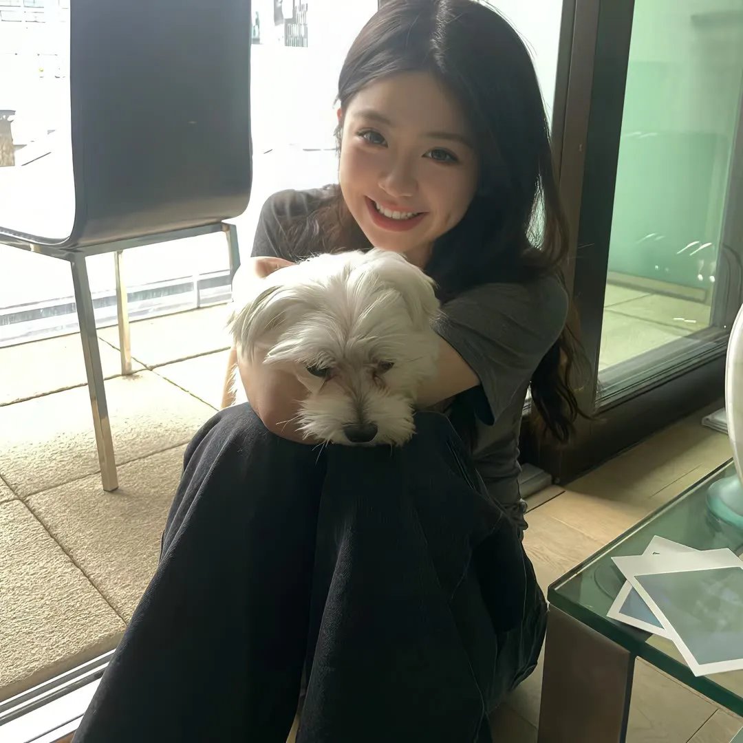 良陈美锦